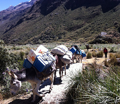 Trekking Quebrada Quilcayhuanca & Climb Nevado Ishinca