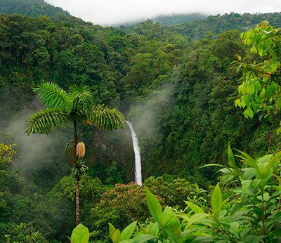 Manu National Park